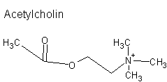 Acetylcholin